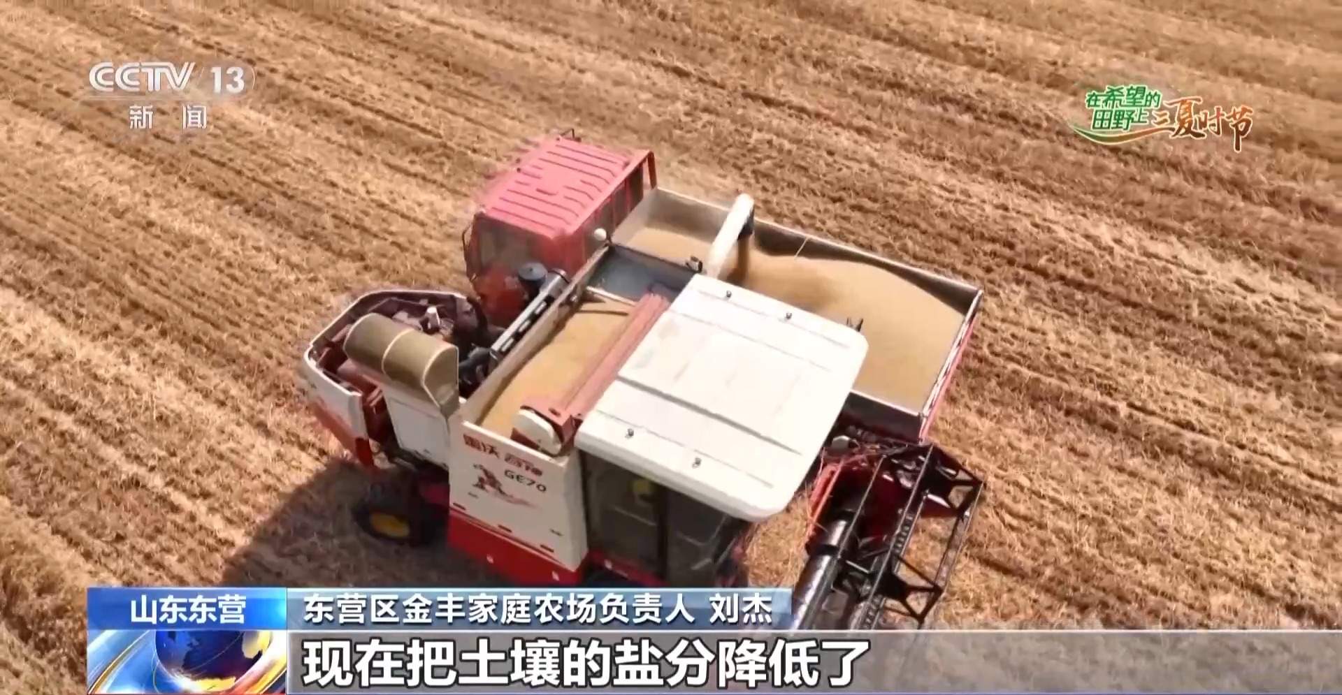 新品种新技术齐上阵 多地一片好“丰”景