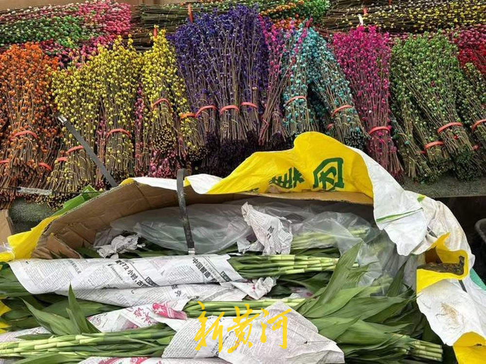 济南年宵花走俏：市民挑选“年味儿”，既要好看又要好彩头