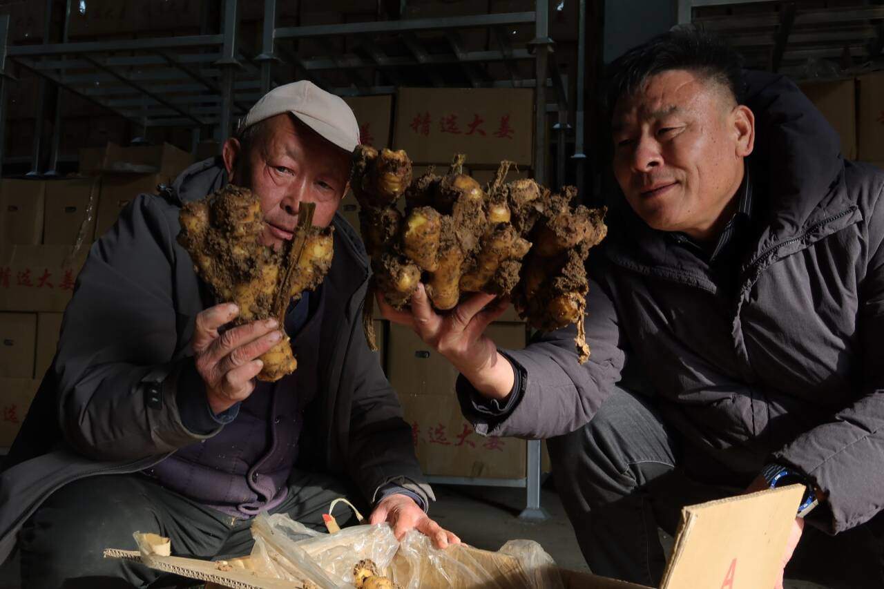 融媒·先锋｜联村共富记——一块田，一块甜