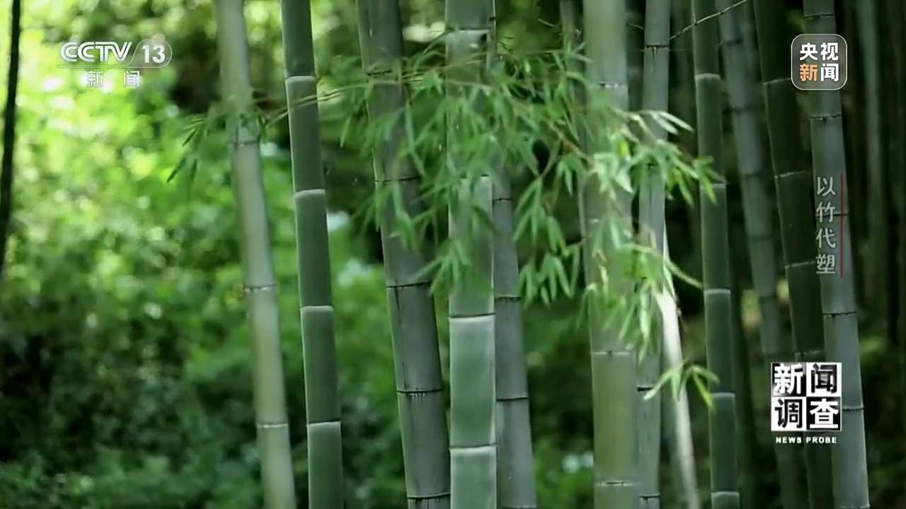 竹子做成无人机 闯进汽车圈 一根竹子的潜力远超想象