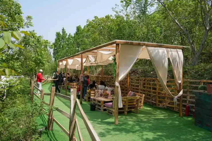 文旅流量变消费增量，济南区县游释放经济新活力