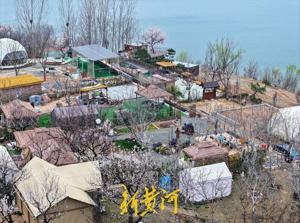 以花为名，“杏”会山野！来济南邂逅一场花间烟火