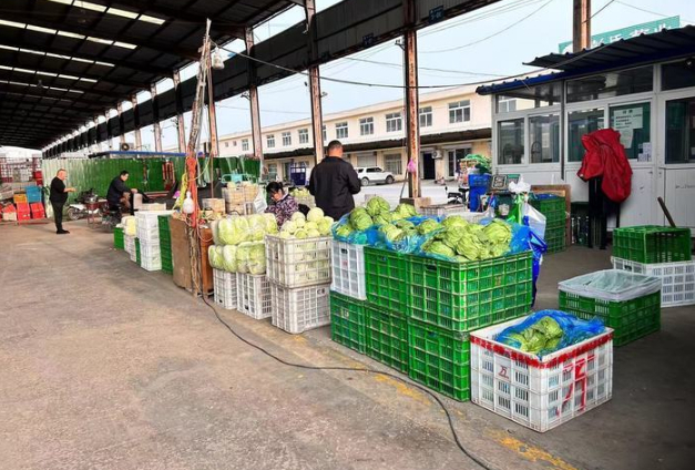 大棚蔬菜大量上市 叶类菜价格回归正常 15种常规蔬菜无一涨价