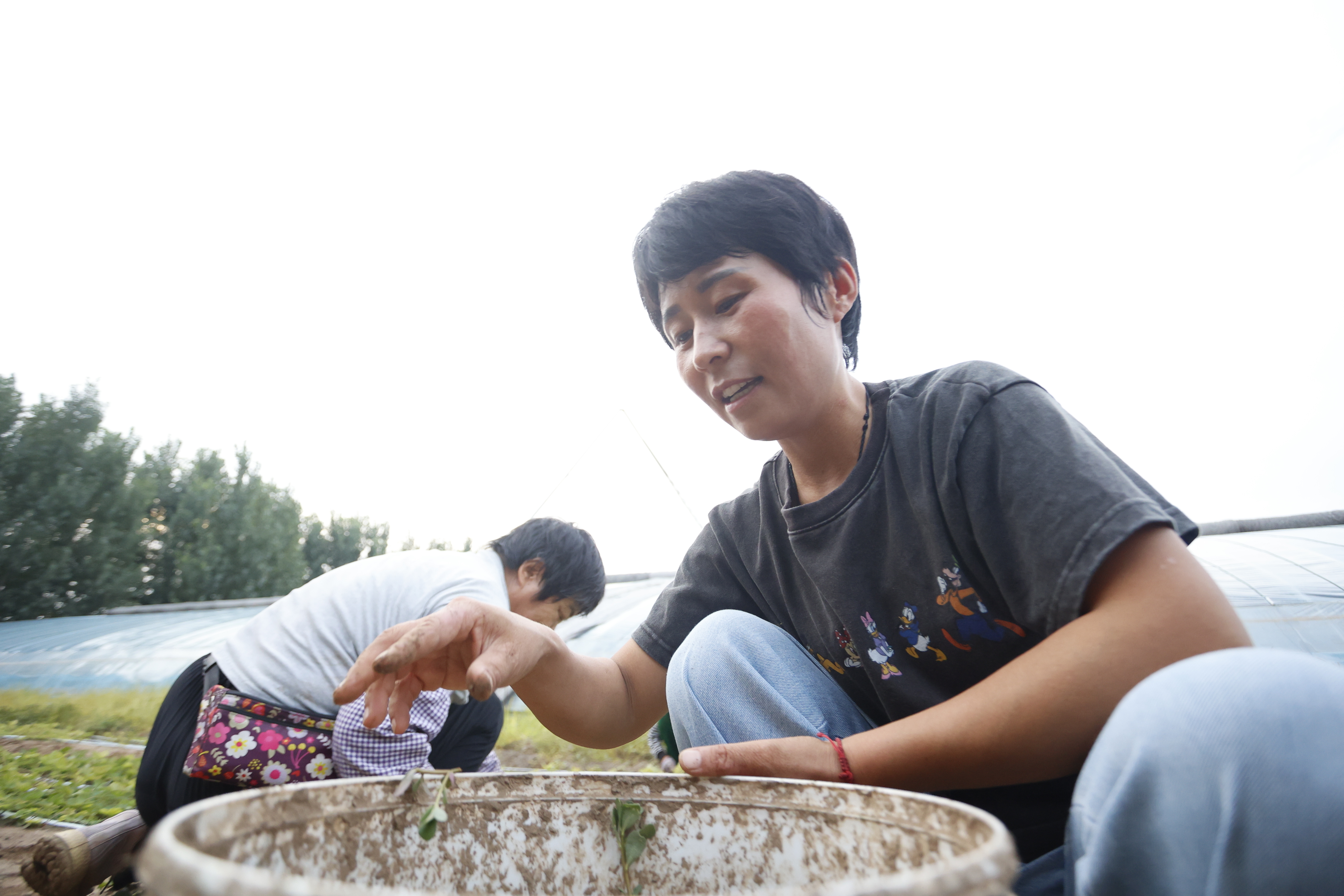 从返乡创业到获评“齐鲁乡村之星”，她用8年时间走出“草莓人”的乡村振兴之路——陈庆文：“归雁”变“头雁”沃野写担当