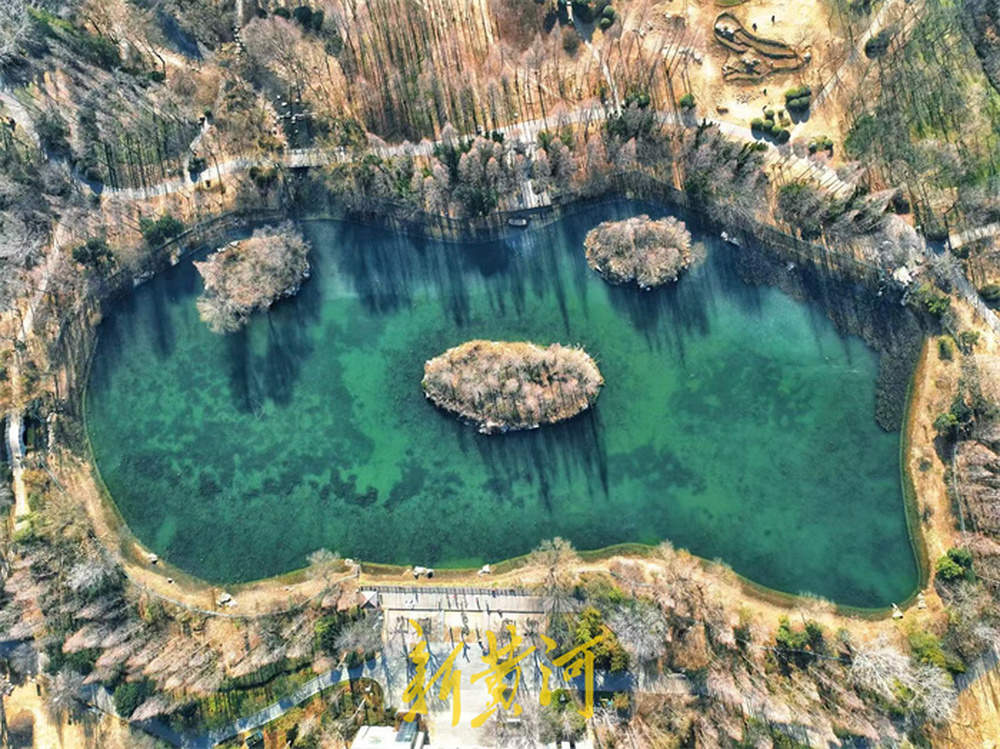 一年四季 泉在济南丨济南森林公园揽翠湖湖面冰封，高大树木映衬冰面错落有致