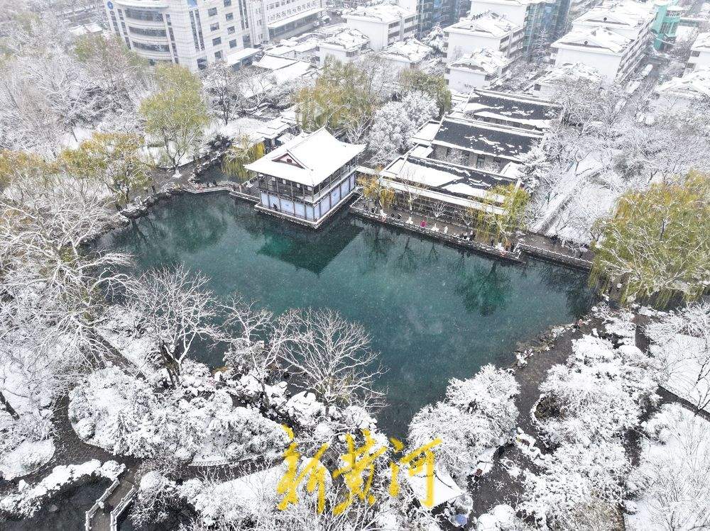 玉树琼枝，静谧如画！济南护城河雾霭流云，五龙潭琼枝映雪