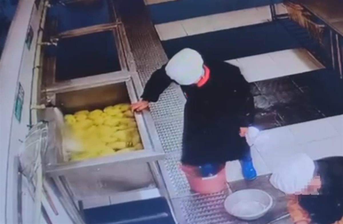 食堂人员用脚踩食材,江西新余十六中校长被免职,市监局:举一反三保障食品安全