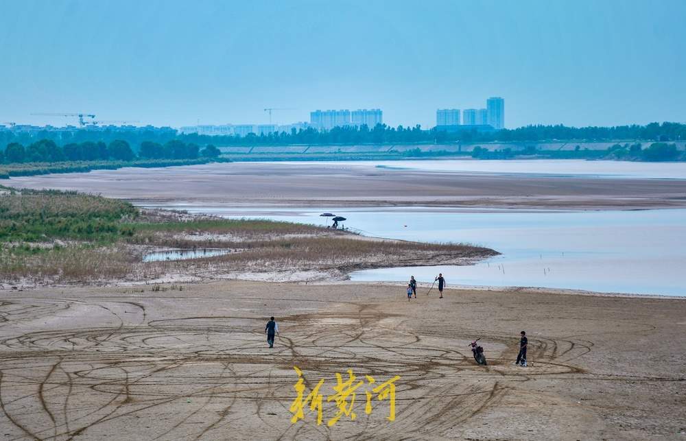 黄河济南段人造洪峰逐渐“退潮”，河滩露脸成纳凉好去处 