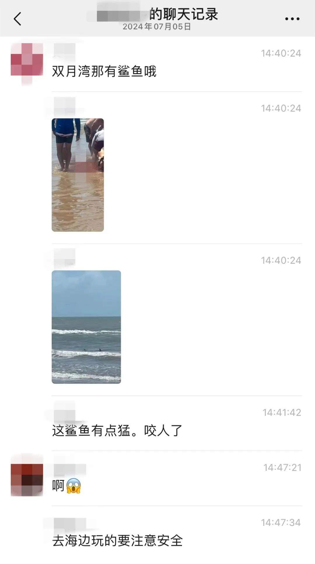真相大白！惠州双月湾有鲨鱼咬人?假的 广东网友“打假”