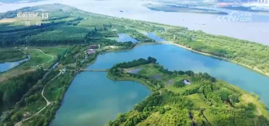 “成绩单”亮眼→我国生物多样性保护“硕果累累”