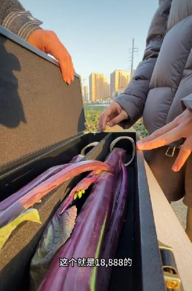 吃了能成仙？两根菜薹喊价18888元！商家回应