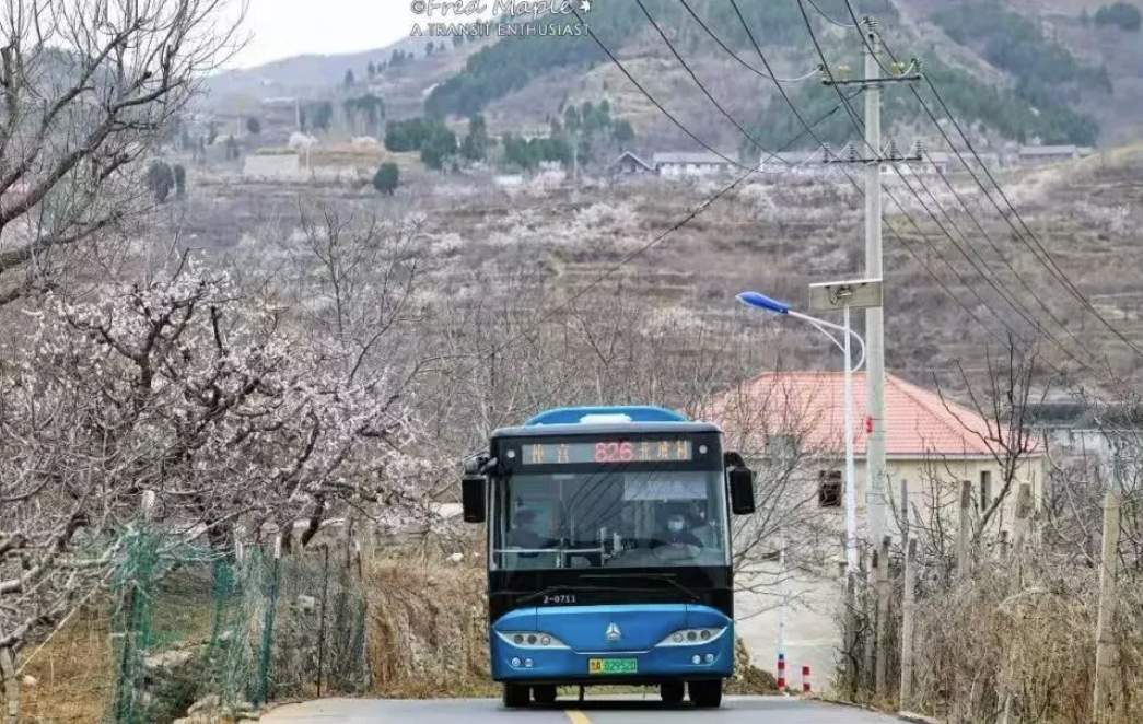 全国重要活动，国家七部门为何选择来济南？