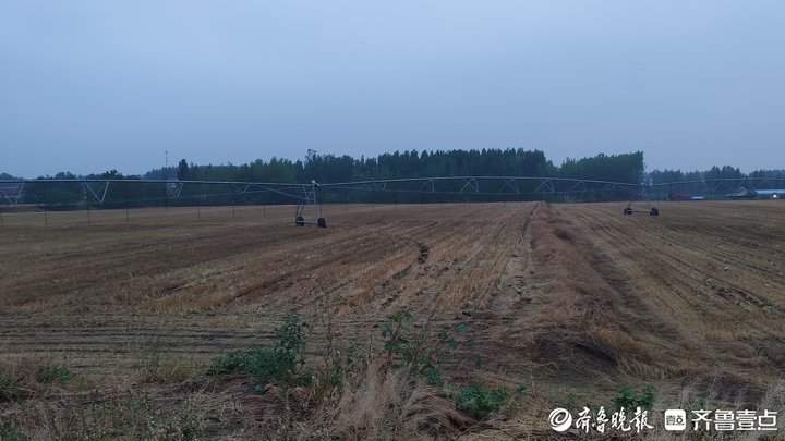 降雨缓解当下旱情，章丘农户表示：相当于滴灌设备喷洒10天