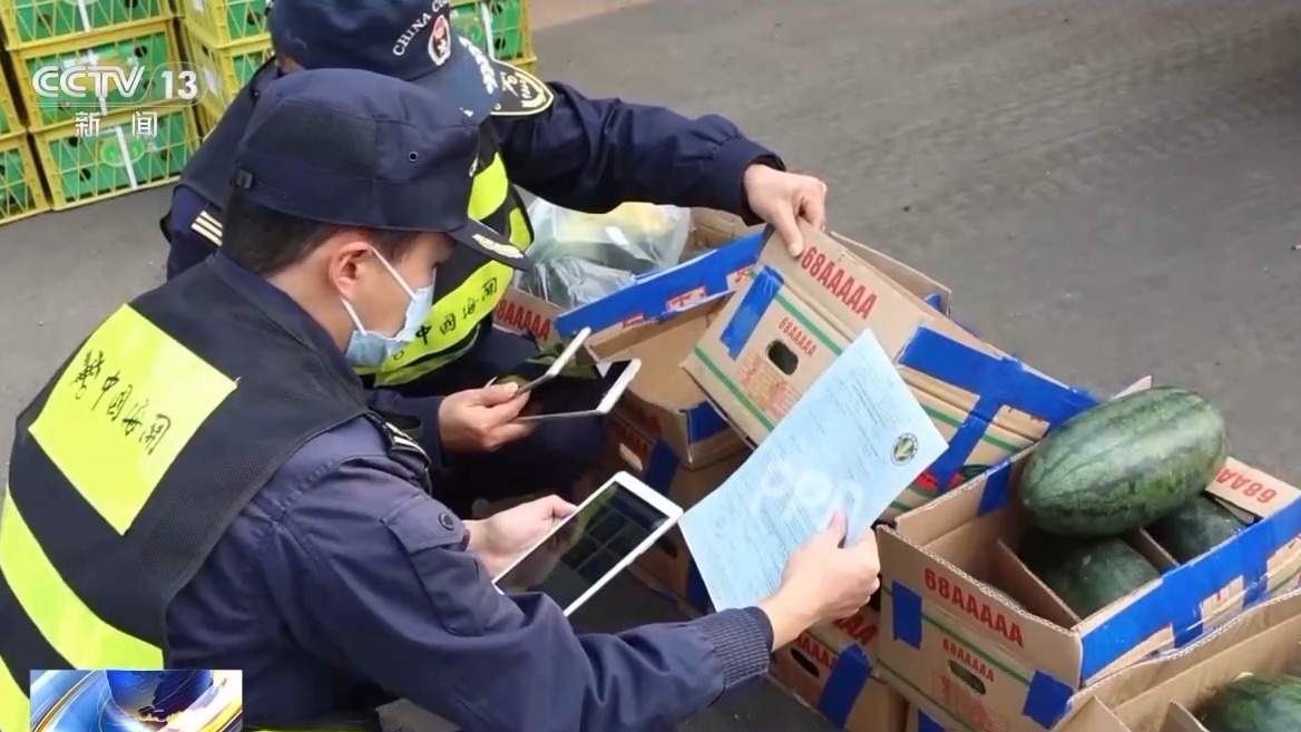 运抵直通、钢铁驼队、空中丝路……新举措推动西部大开发形成新格局