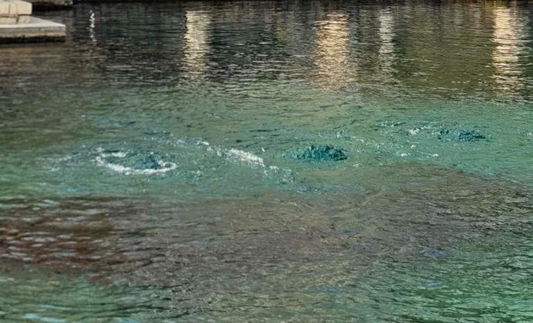 济南春节期间泉水水位很稳，泉水助推春节旅游持续高潮