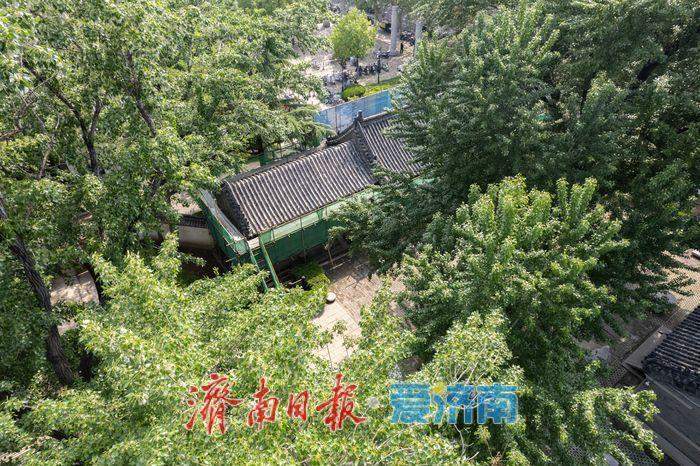 济南闵子骞墓启动修缮施工预计6月中旬完工