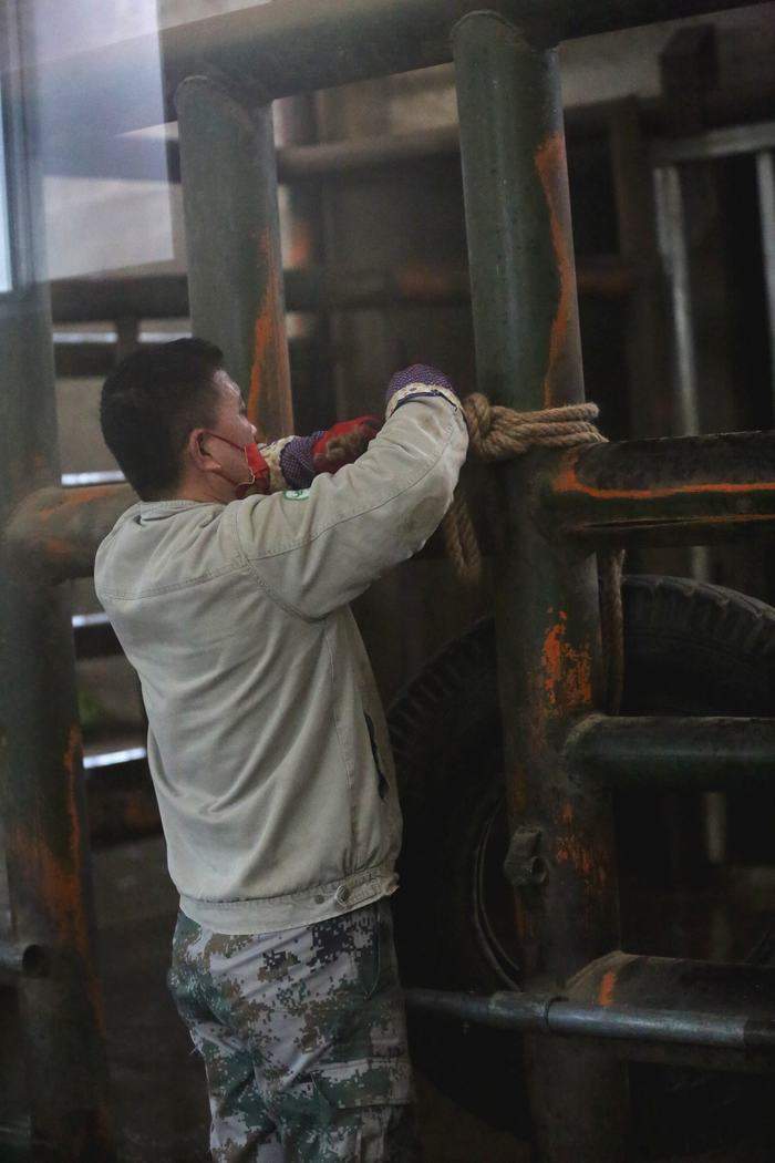 象妈妈“撒宽”41岁啦！济南动物园举办了一场别出心裁的生日庆典