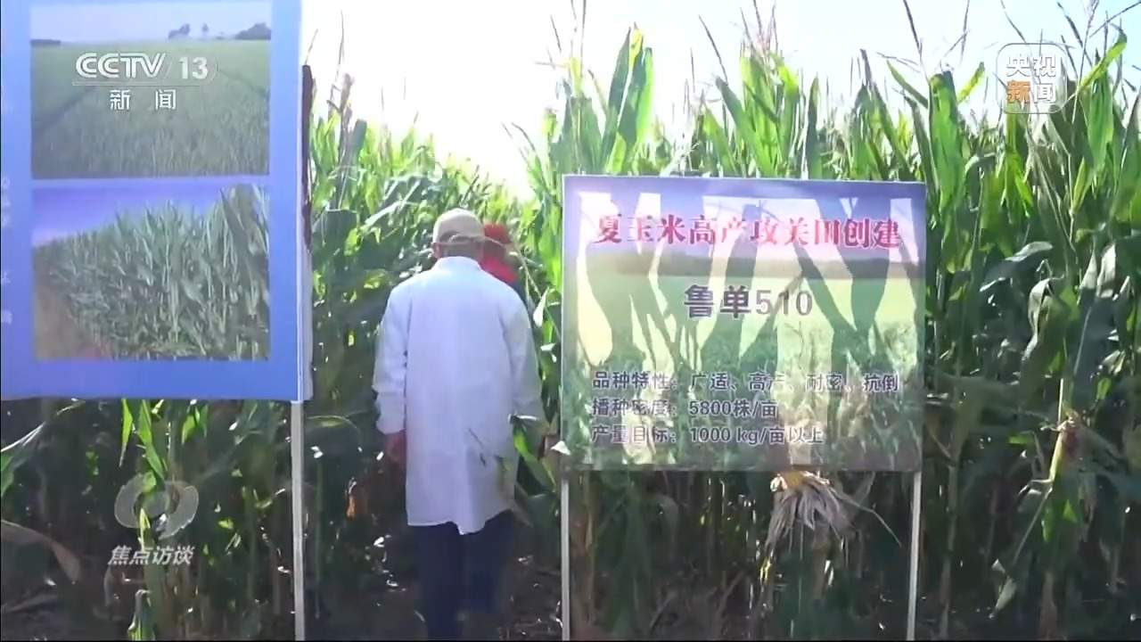 从抗旱到抢收 解读粮食增产背后的“密码”