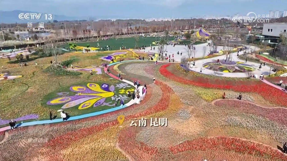 焦点访谈｜“幸福产业”书写乡村振兴“花样”答卷