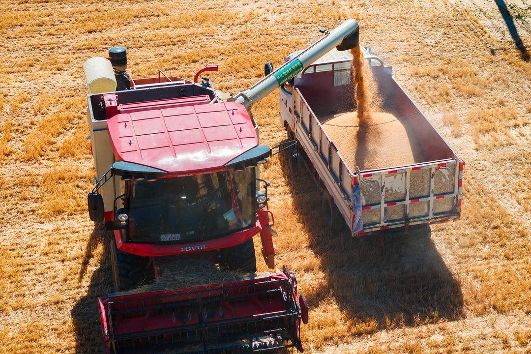 山东好景｜“丰”景里的开心笑容