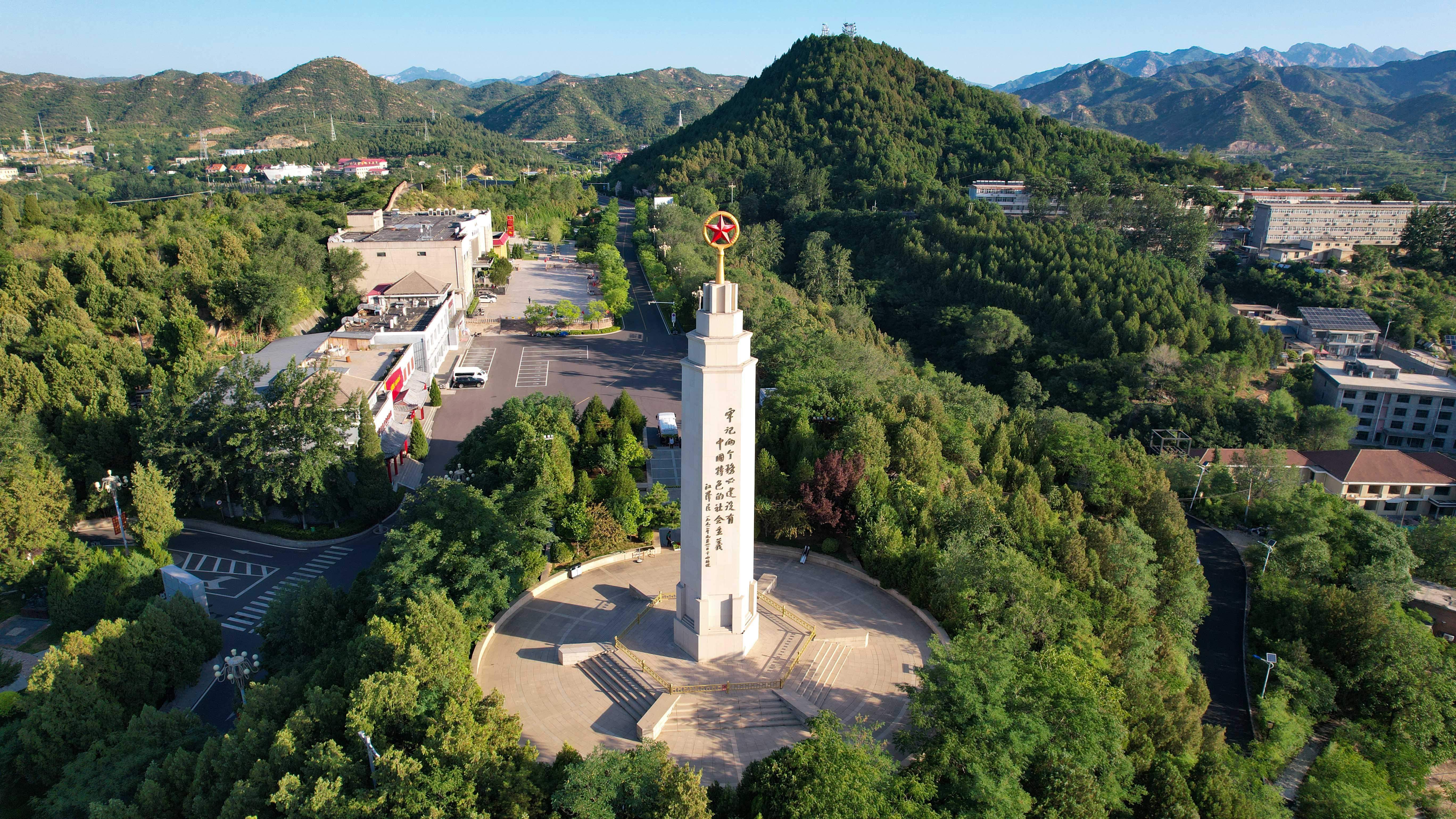 时政微观察丨砥柱中流 风华正茂