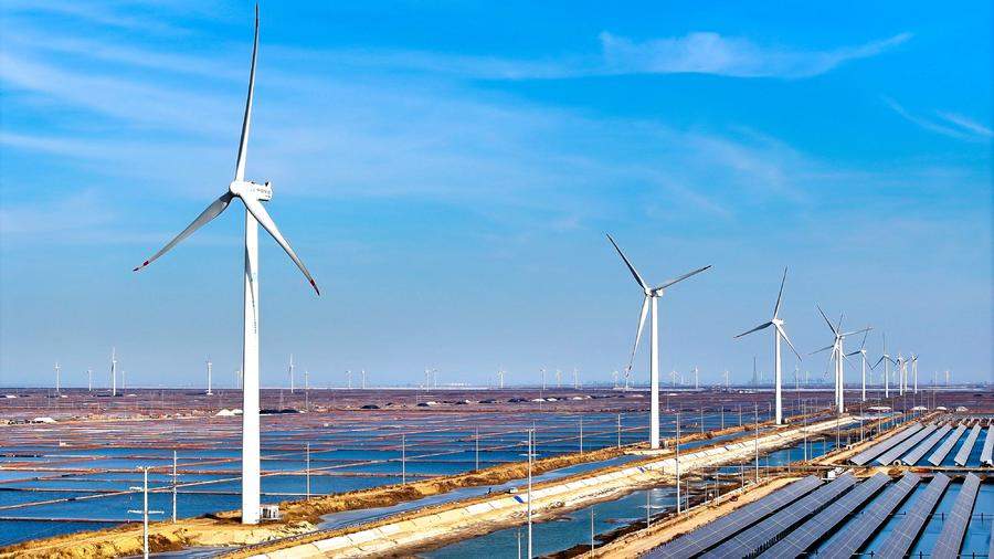 扛牢大省担当，山东绘就绿色低碳高质量发展新画卷