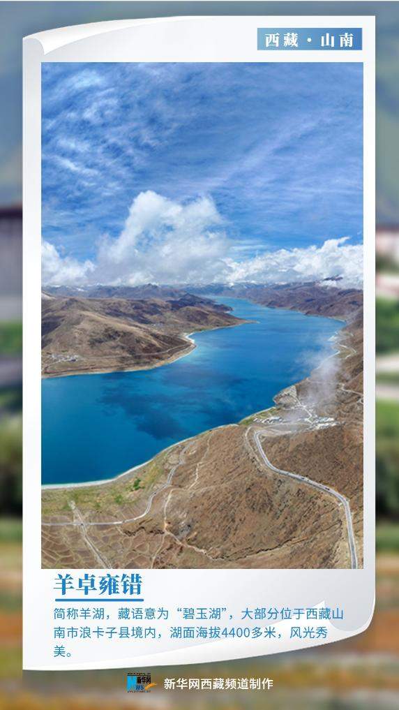 世界环境日｜美丽中国我先行 “绿色长城”阅雪域