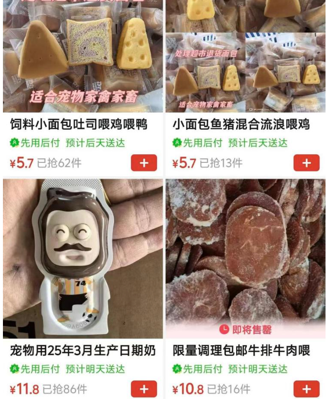 过期食品竟成宠物饲料“平替”，专家：属违法行为