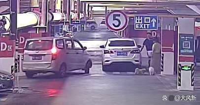 女子因狗窜入车底受伤持砖砸车砸人 边砸边喊“还我狗命”