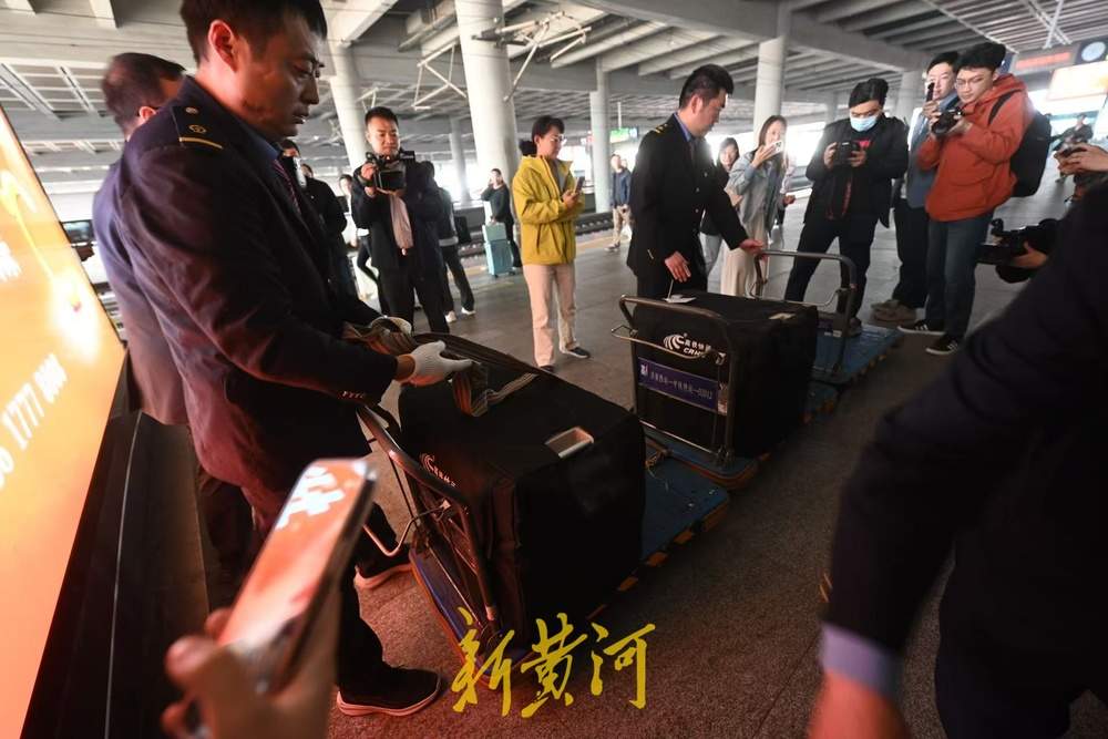 萌宠坐高铁到济南西站了！全国首趟提供高铁宠物托运服务的列车抵达