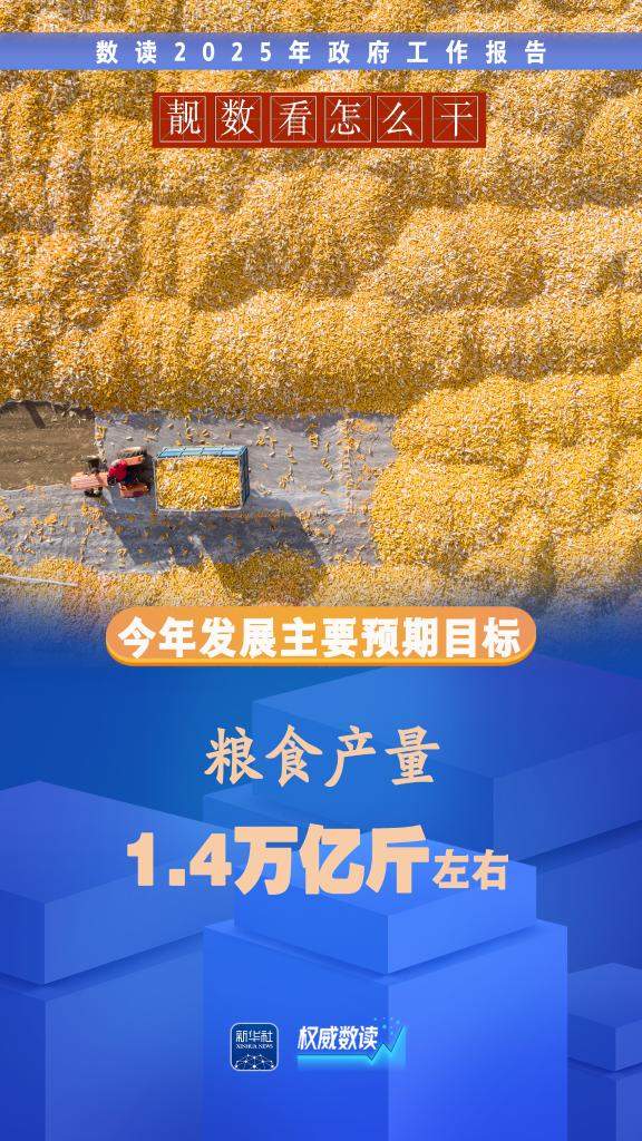 两会“靓”数｜数据看“怎么干”
