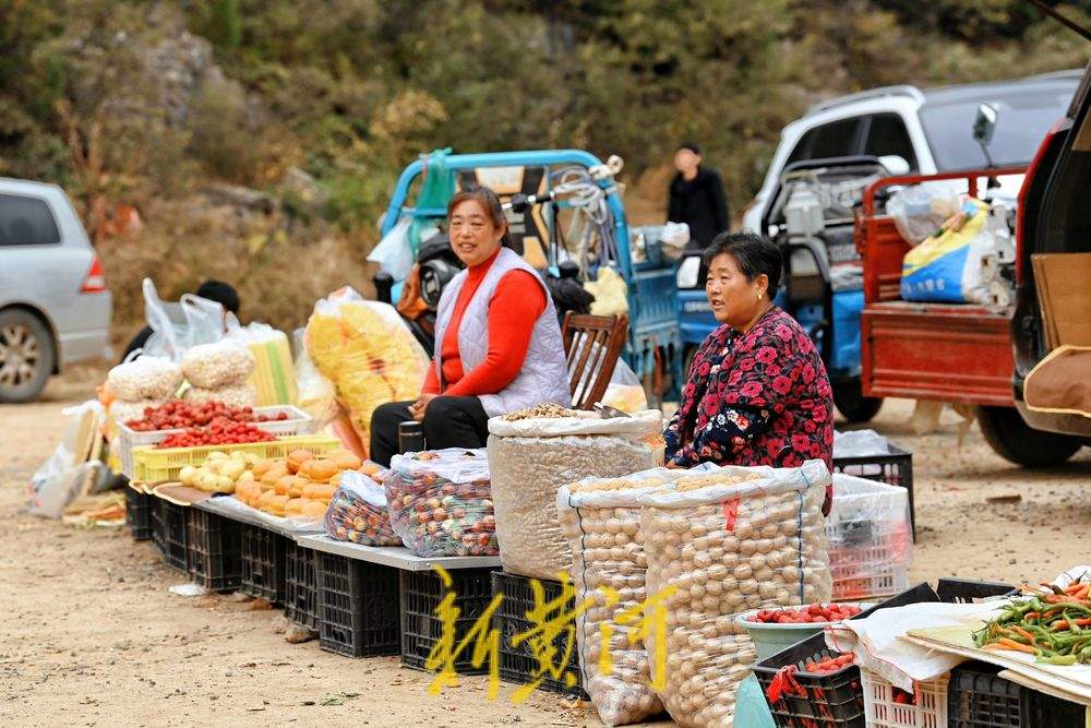 济南金秋山货上市，市民游客赏银杏、尝山货两不误