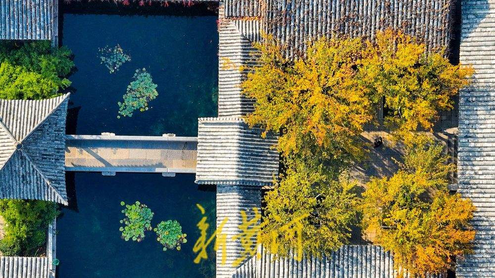 趵突泉公园开启变色模式，层林浸染触摸诗情画意