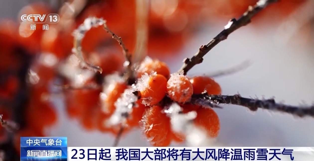 降温12℃以上 我国大部将有大风降温雨雪天气