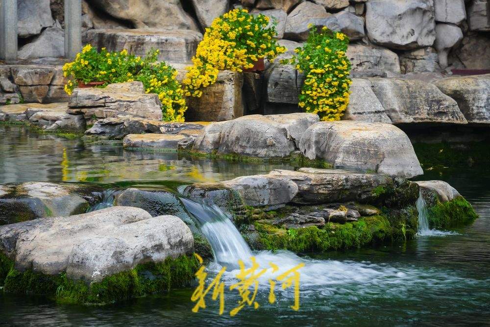 初冬时节黑虎泉畔美不胜收