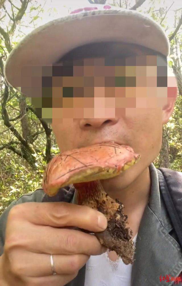 胆子真大!网红生吃见手青,称小小蘑菇不在话下