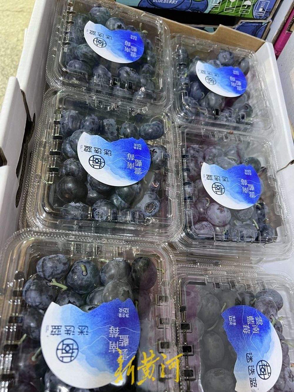 最高218元/斤，国产樱桃、蓝莓上市受热捧，济南有摊位一天售出上百箱