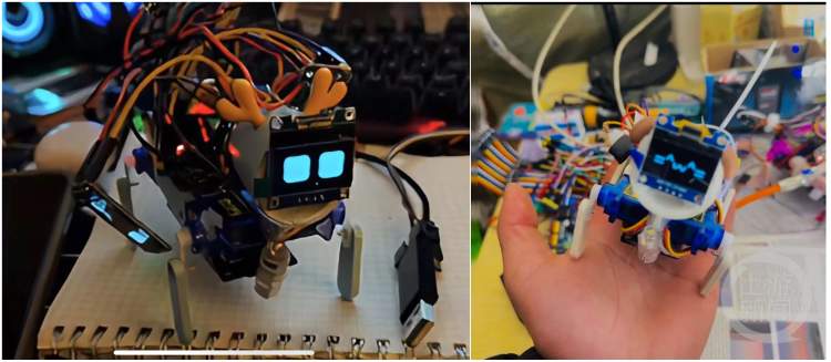 小伙自学编程造出“赛博小狗” 网友纷纷“求定制”