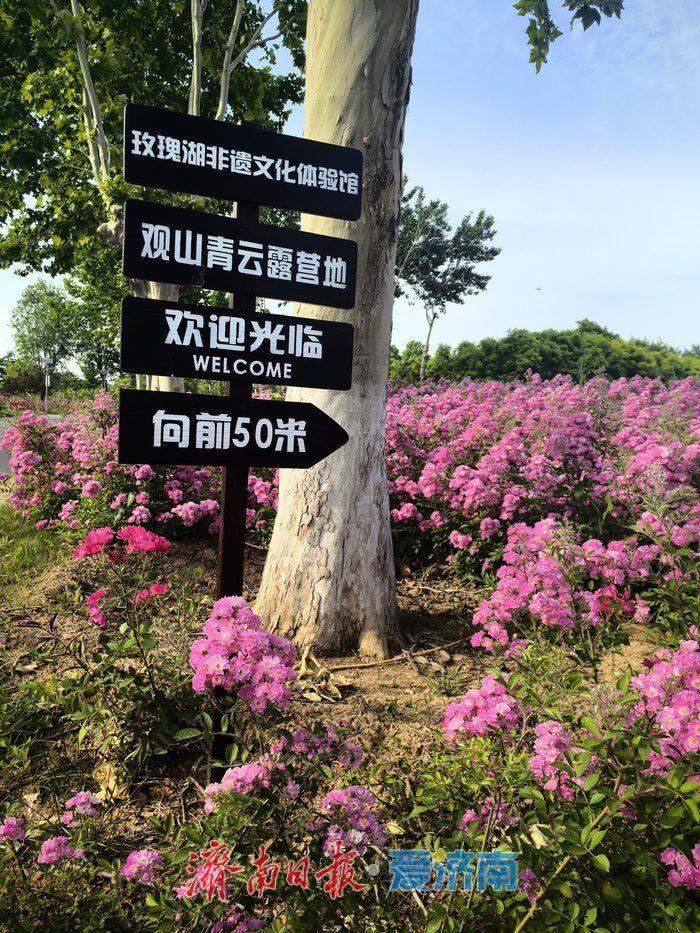 趵眼 