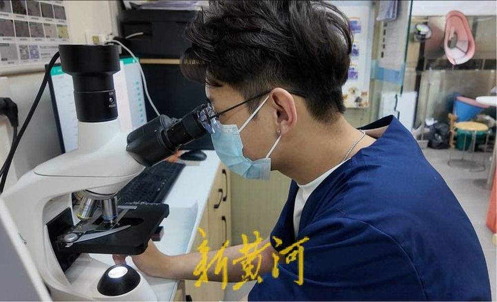 异宠医生的一天是啥样？山东这家宠物医院里，他为巴西龟打针，给水豚治胃肠炎