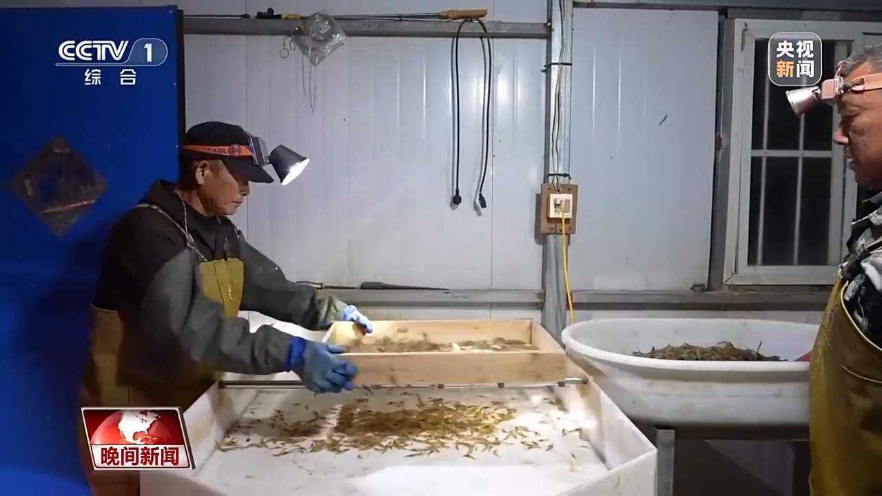 从油气生产、数字消费、智慧农业等多领域成就 感受中国经济活力