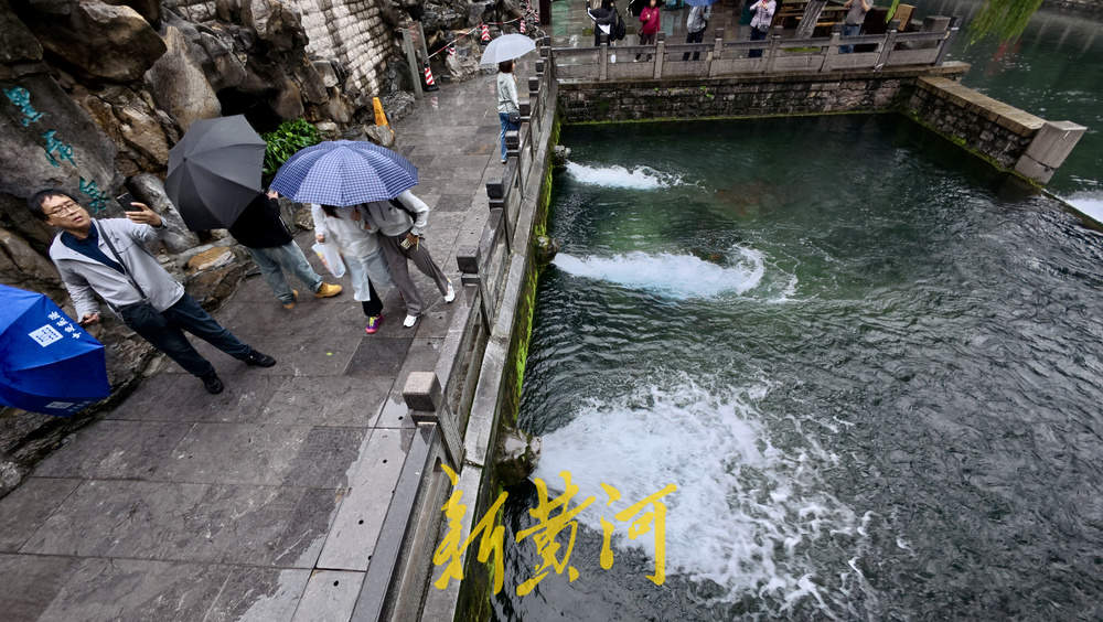 地下水位连涨，泉水漫出泉洞 ，现黑虎泉版“清泉石上流”
