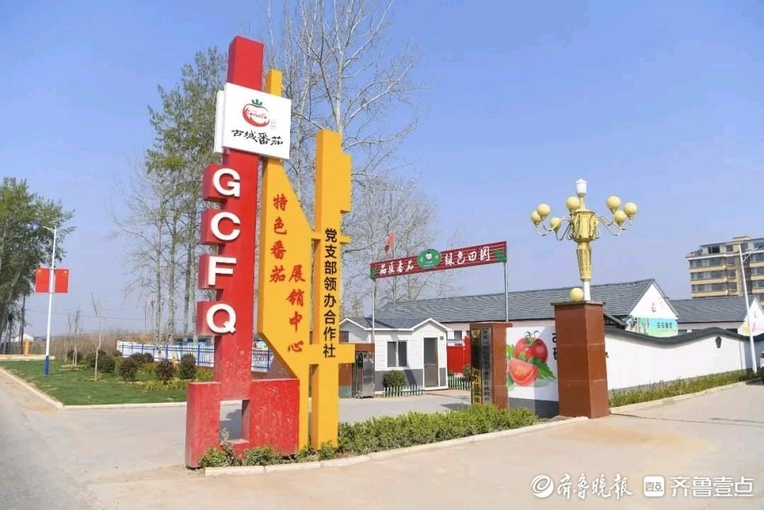 山东破题片区化:乡村“手拉手” 共富路“步步宽”