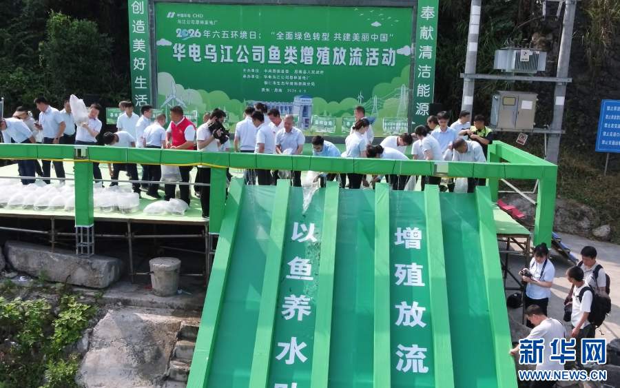 长江十年行丨清波之上 鱼群作答