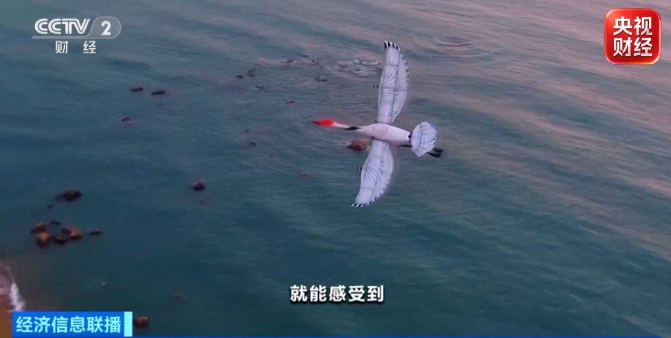 打卡“仙境”成热潮！《八仙！》取景地变“下一站目的地”