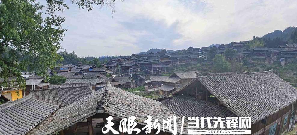 何以中国｜从三叠纪化石到明代屯堡，高原大地上的文明“石”书