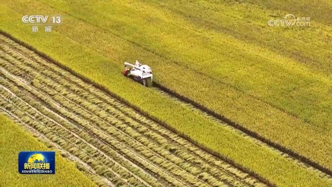 全国秋粮收获近七成，山东已过七成半