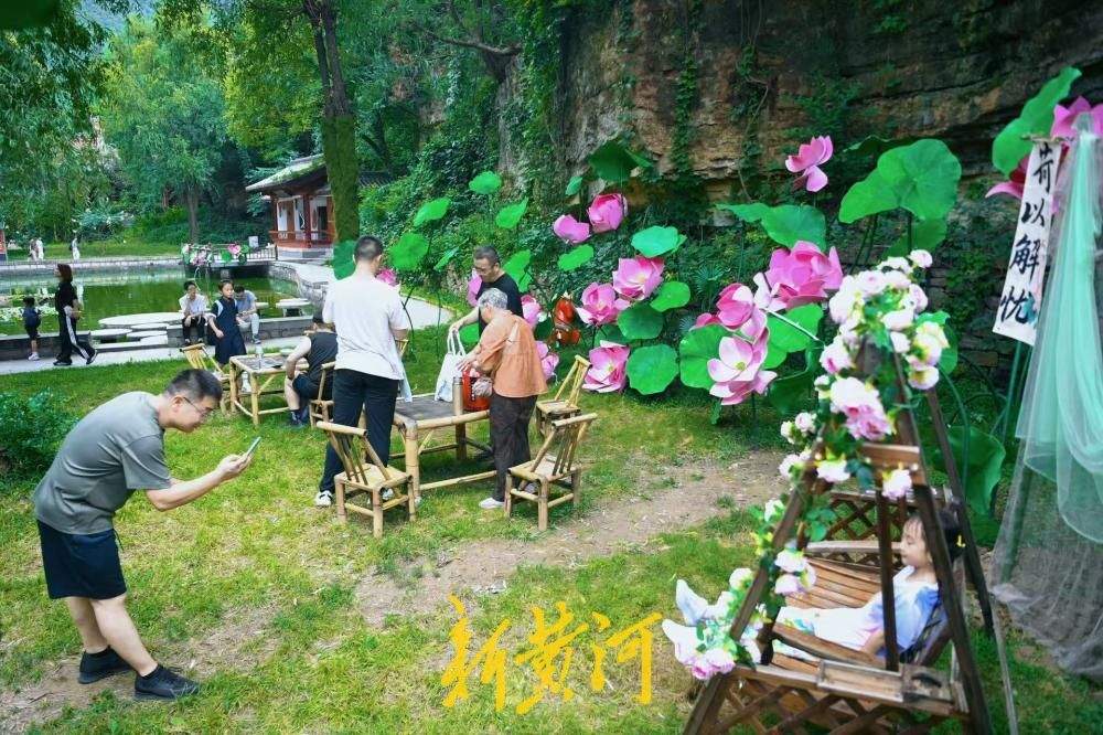 花艺新景扮靓灵岩古寺，荷景花瀑绘就山林消暑画卷