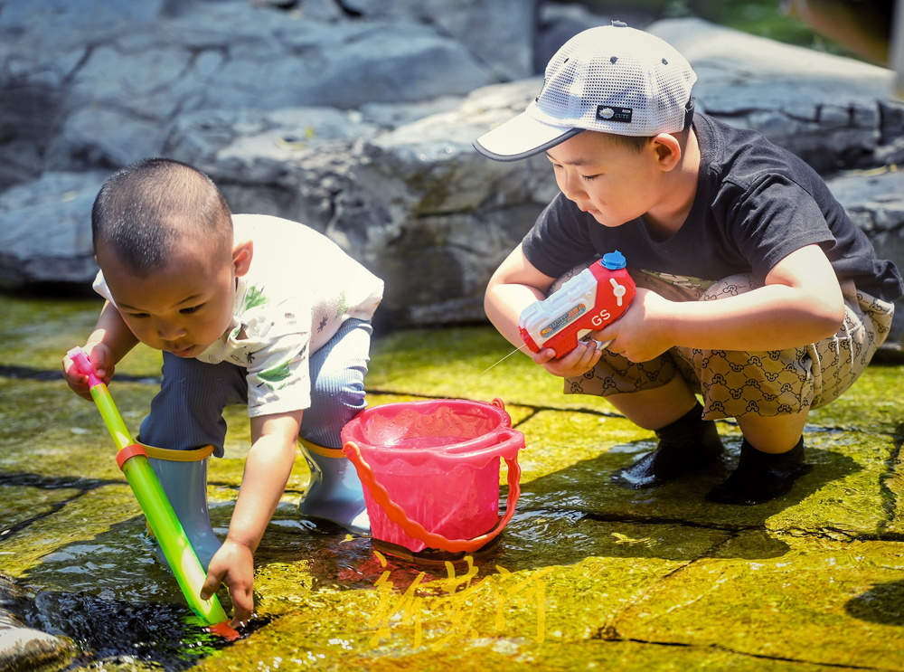 泉城入夏日，戏水正当时，五龙潭又热闹起来了