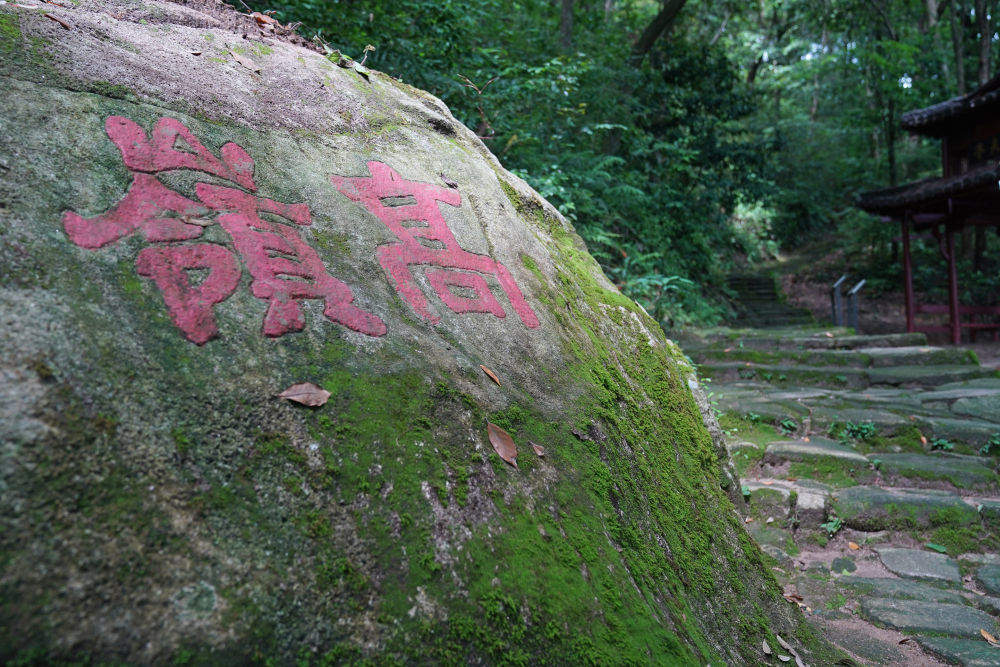 心相近｜一瓷跨千年，万里尚为邻